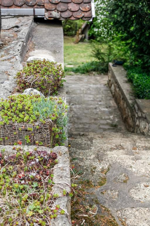 Myrtus Pince Es Vendeghaz Otel Tarcal Dış mekan fotoğraf