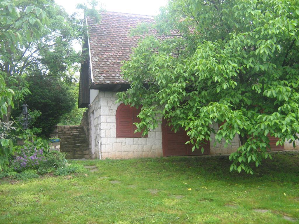 Myrtus Pince Es Vendeghaz Otel Tarcal Dış mekan fotoğraf