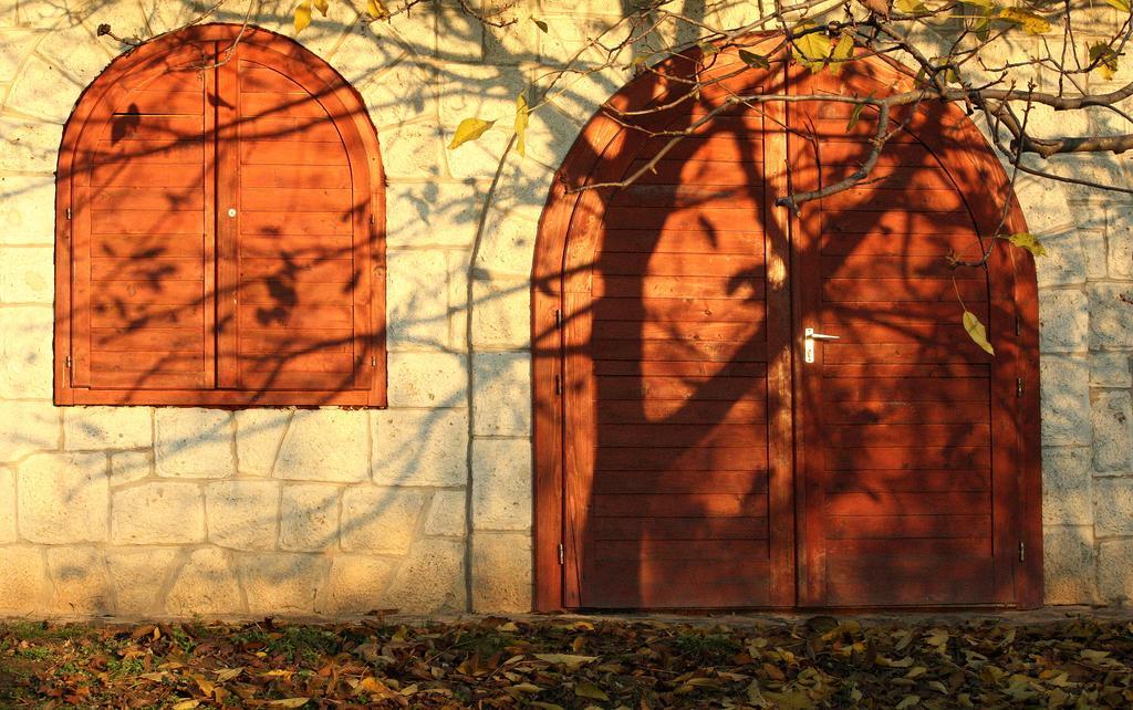Myrtus Pince Es Vendeghaz Otel Tarcal Dış mekan fotoğraf